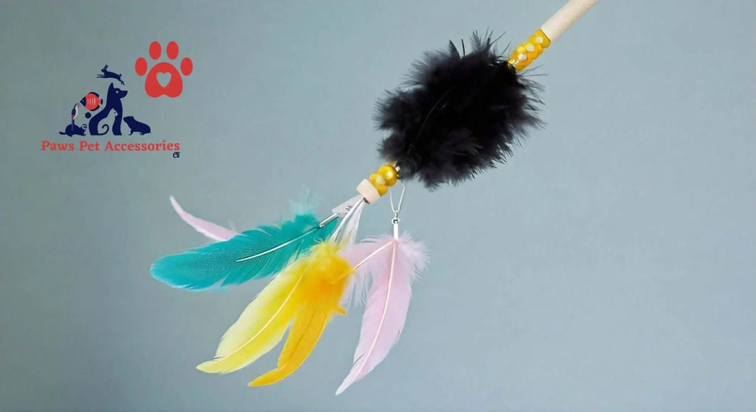 Feathered cat toy wand with bright plumes, perfect for fun teaser toys and playtime.