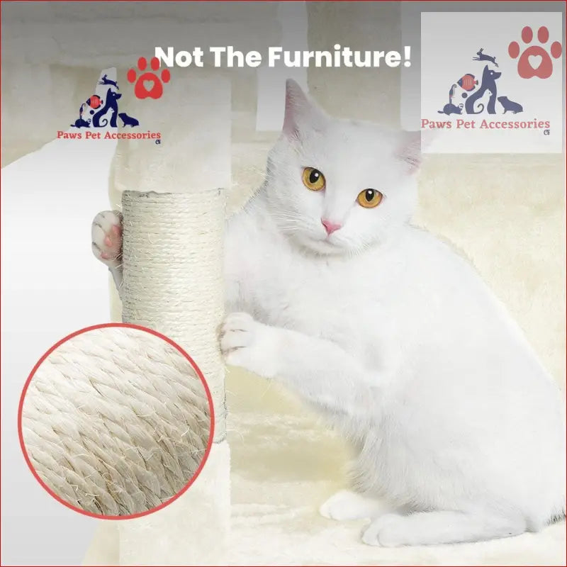 White cat with golden eyes by scratched furniture near Floofi 97cm Adjustable Plush Cat Tree