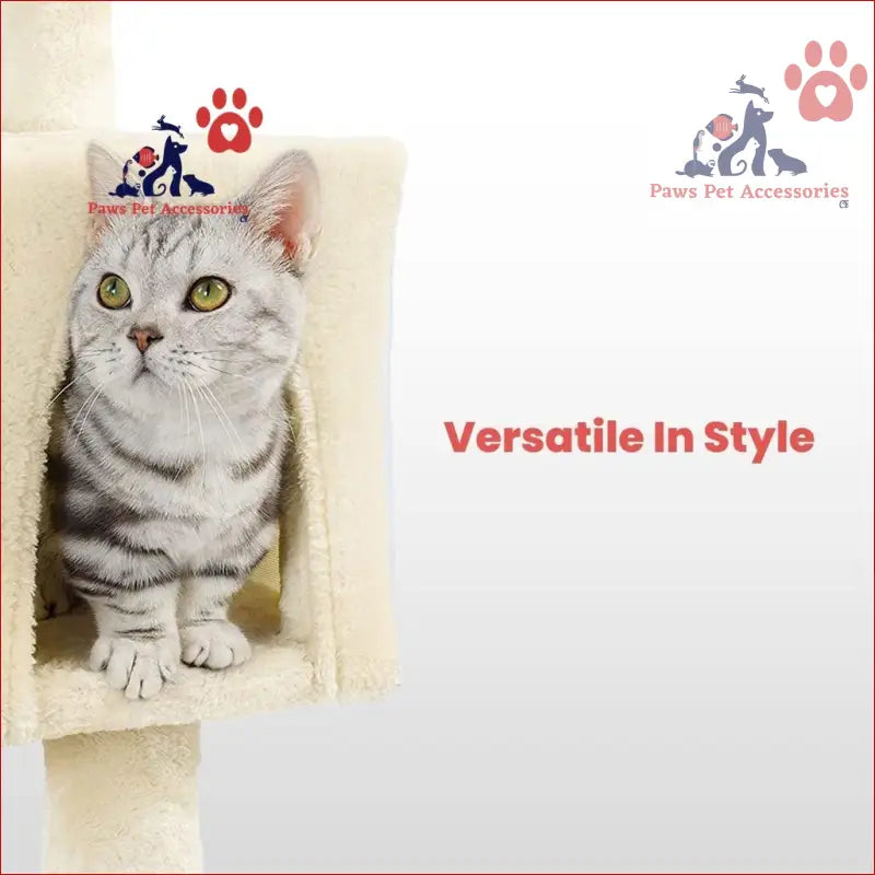 Silver tabby cat with yellow eyes on Floofi 97cm Adjustable Base Plush Cat Tree Beige