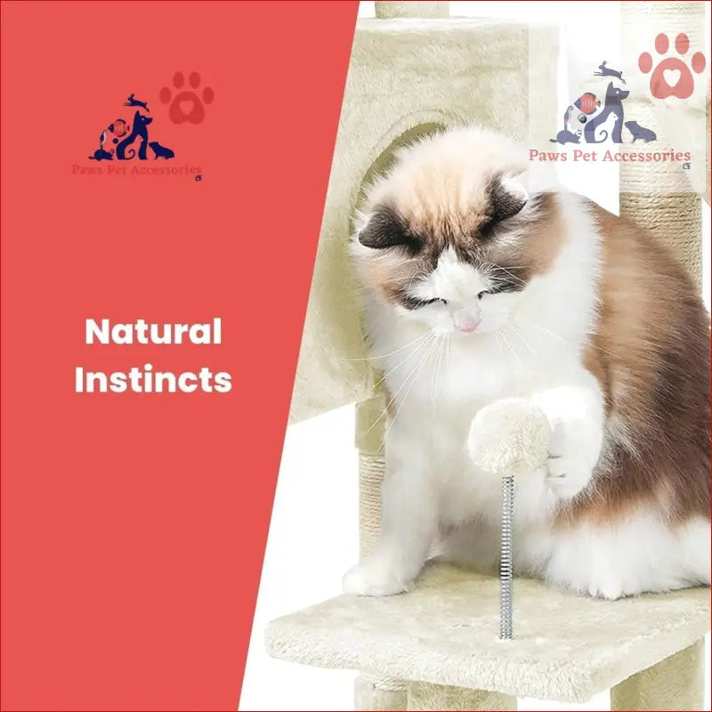 Fluffy Ragdoll cat chilling on a Floofi 97cm adjustable plush cat tree in beige