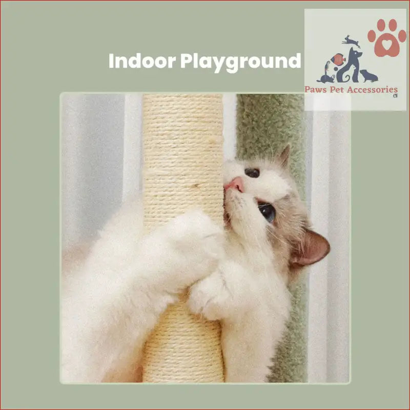 White cat having fun scratching sisal post on Floofi 143cm Dinosaur Cat Condo