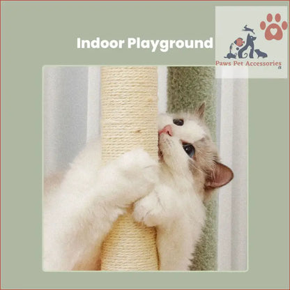 White cat having fun scratching sisal post on Floofi 143cm Dinosaur Cat Condo