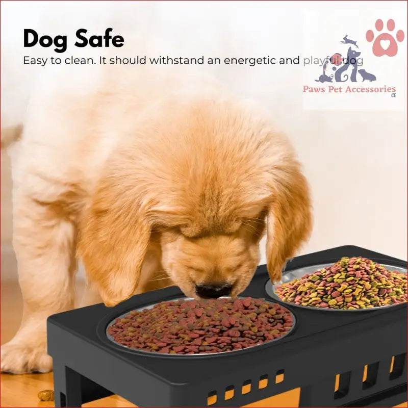 Elevated pet feeder with two bowls and adjustable height for your furry friend